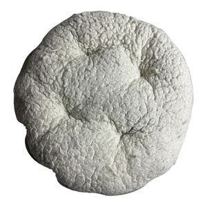 Kitty City Large Cat Tunnel Bed, Cat Bed replacement piece